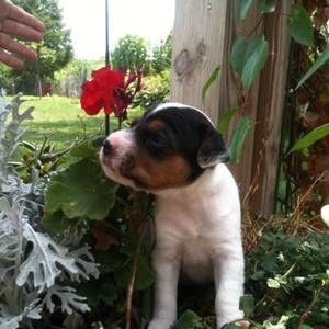 Meet your Posher, Thomas